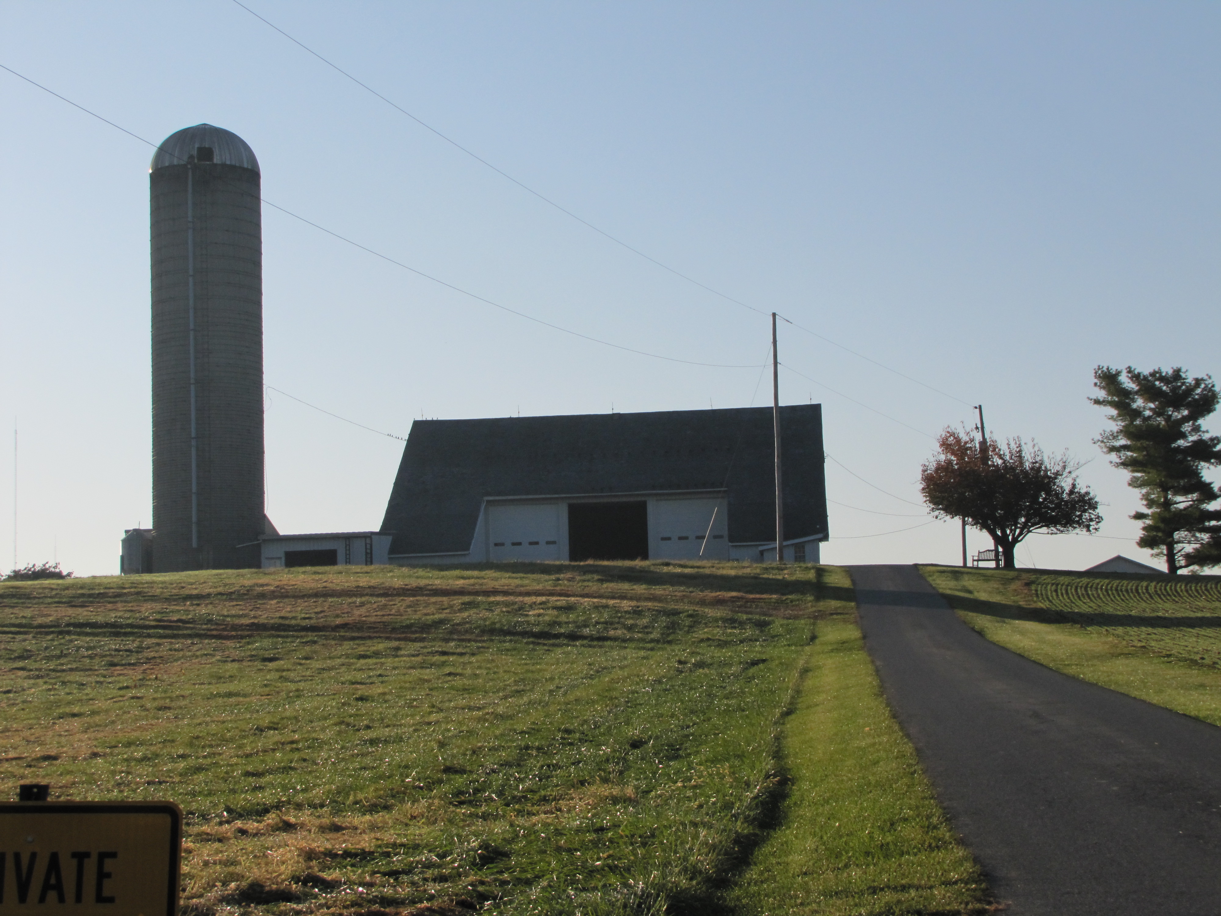 Hoover Wood Shavings &mdash; premium animal bedding products