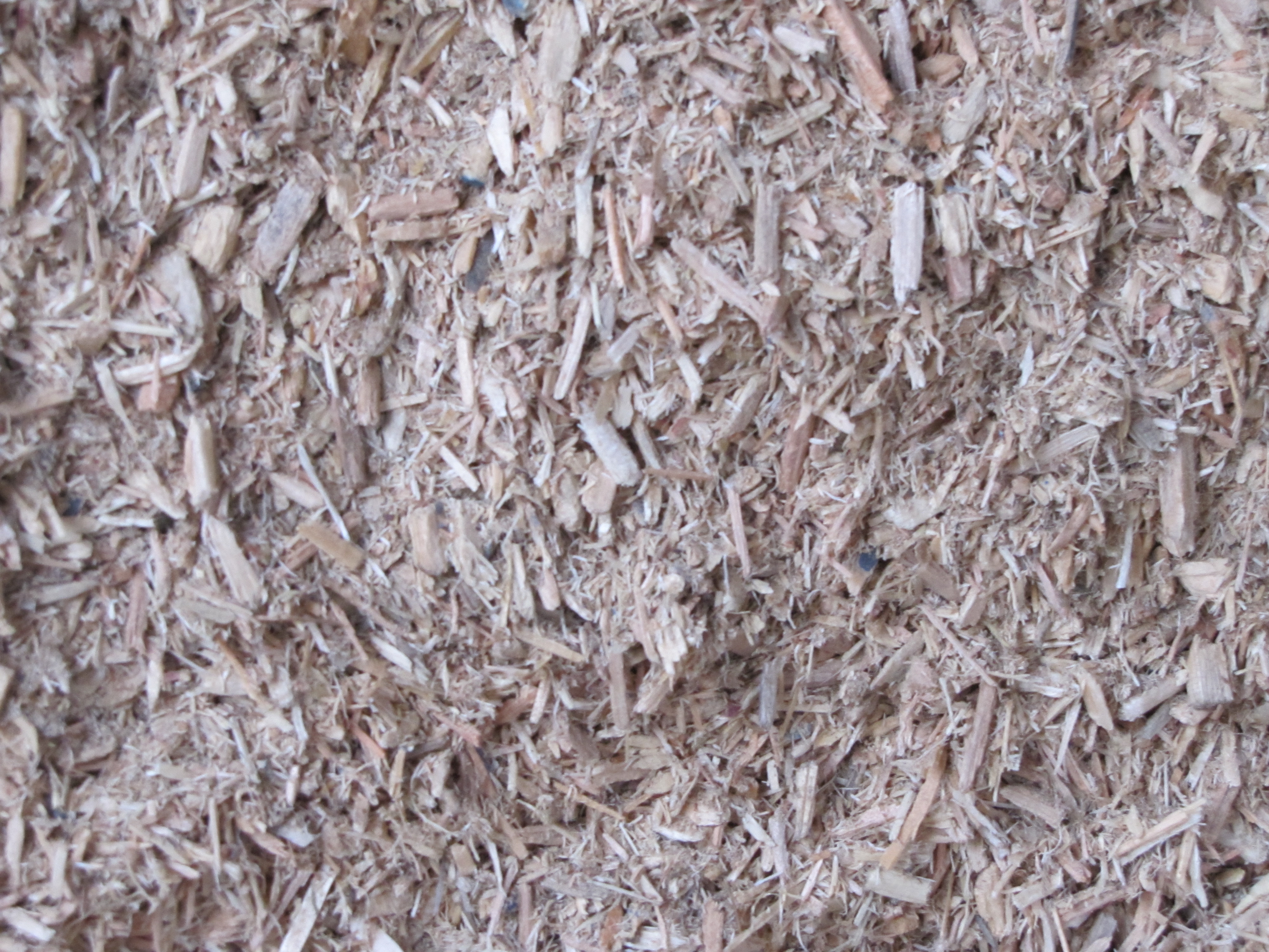 Chips &mdash; close-up of coarse wood chips
